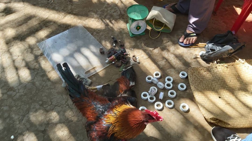 Công an tỉnh Cà Mau vào cuộc triệt phá vụ án đá gà ăn tiền ở Cái Nước